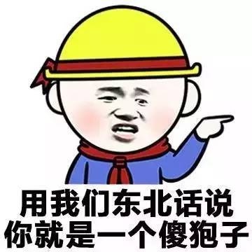 各地方言表情包大全 用东北话你就是要给傻狍子表情包