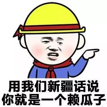 各地方言表情包大全 用东北话你就是要给傻狍子表情包