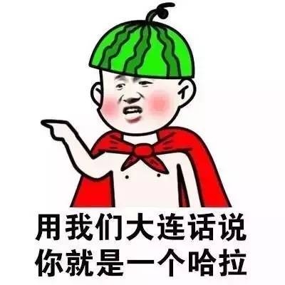 各地方言表情包大全 用东北话你就是要给傻狍子表情包