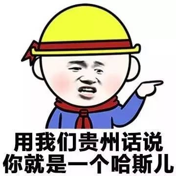 各地方言表情包大全 用东北话你就是要给傻狍子表情包