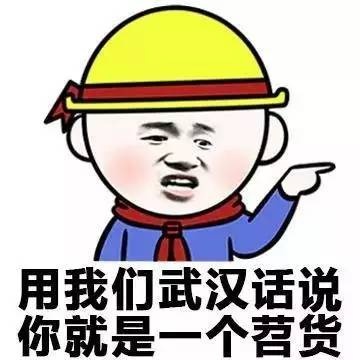 各地方言表情包大全 用东北话你就是要给傻狍子表情包