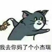 我去你妈了个小杰瑞表情包