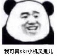 我可真skr小机灵鬼儿表情包