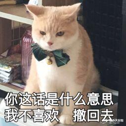 （可爱猫表情包）你这话是什么意思，我不喜欢撒回去表情包