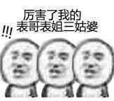 厉害了 我的亲戚们（厉害了表情包）表情包