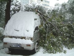 震撼世界的雪灾（组图）