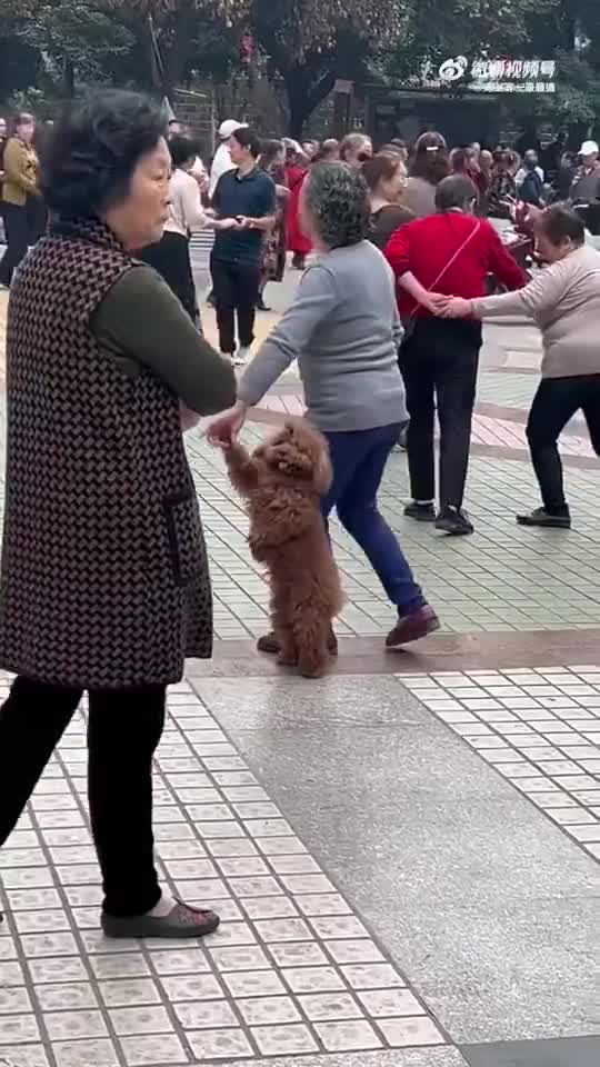 轻松一秒：大家见过真正的 沙 雕 吗？