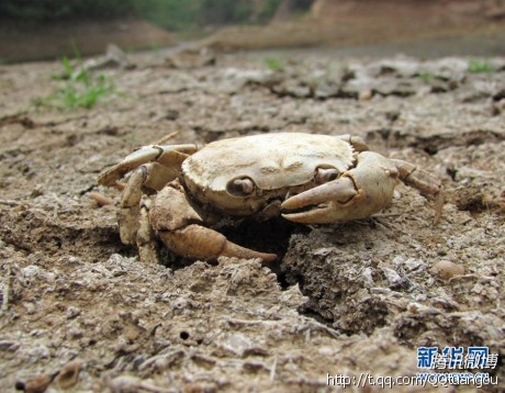 地球危险啊,瘦弱强食的时代。