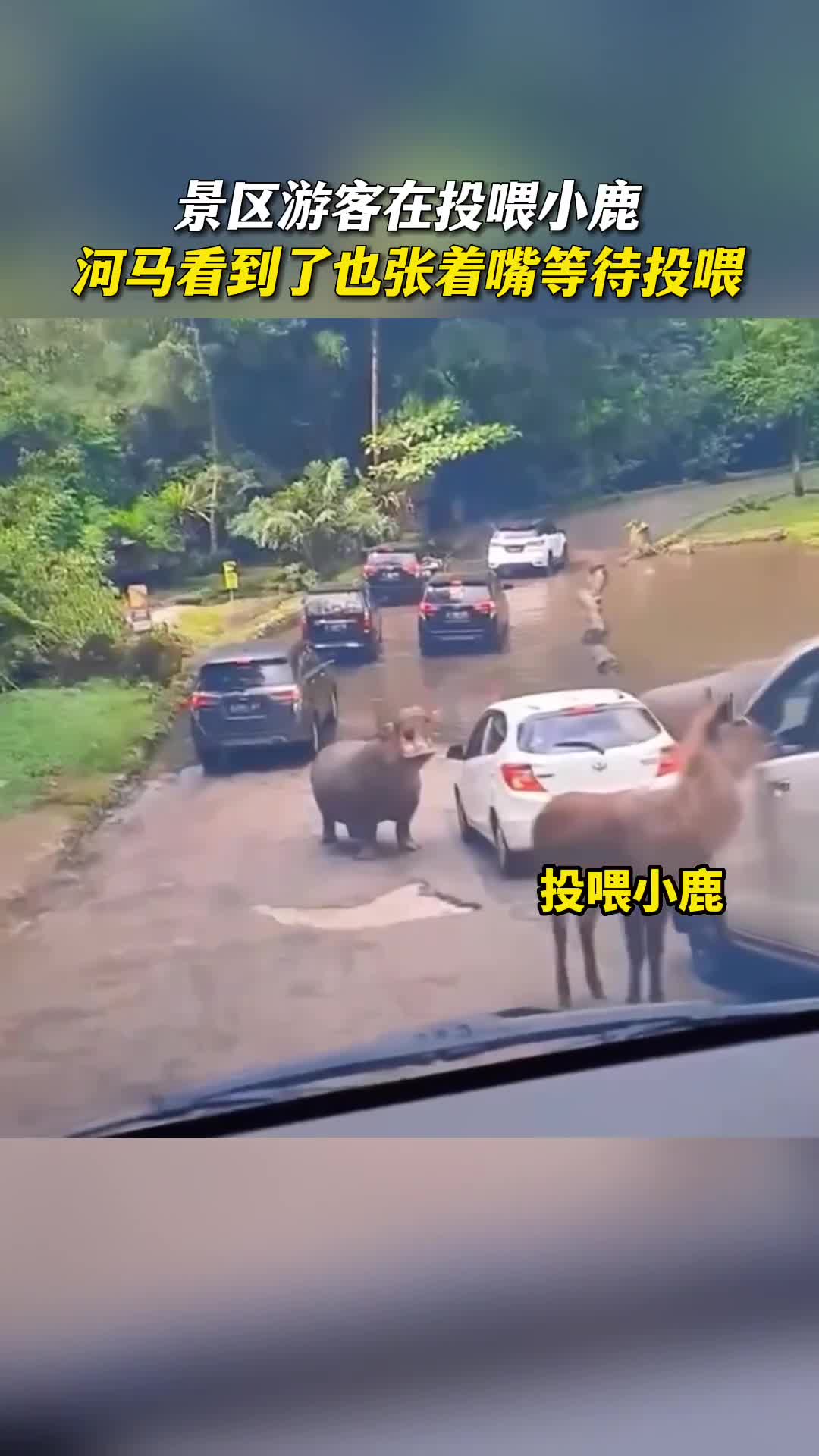 轻松一秒：心中有海，哪里都能是马尔代夫