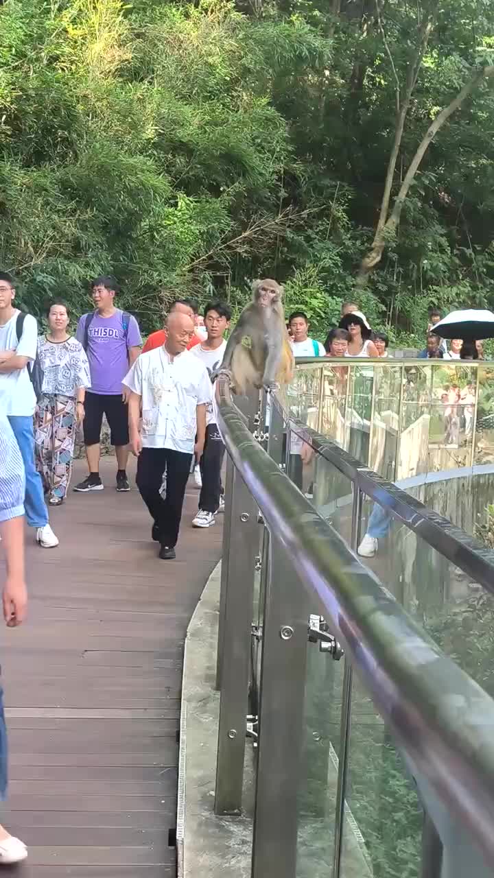 轻松一刻：你的弟弟开心，你才会开心！